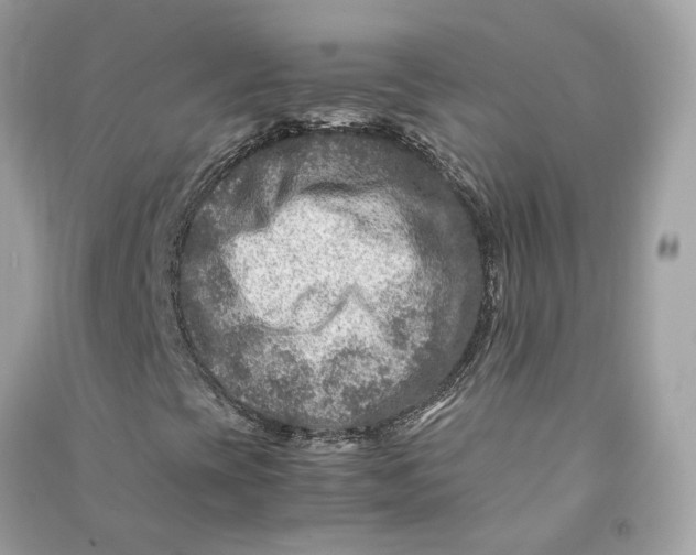 X0000090761393200708101736