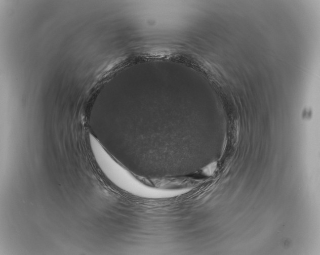 X0000090761394200708101736