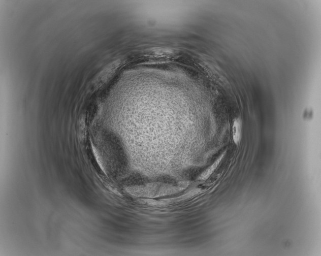 X0000090761395200708101736