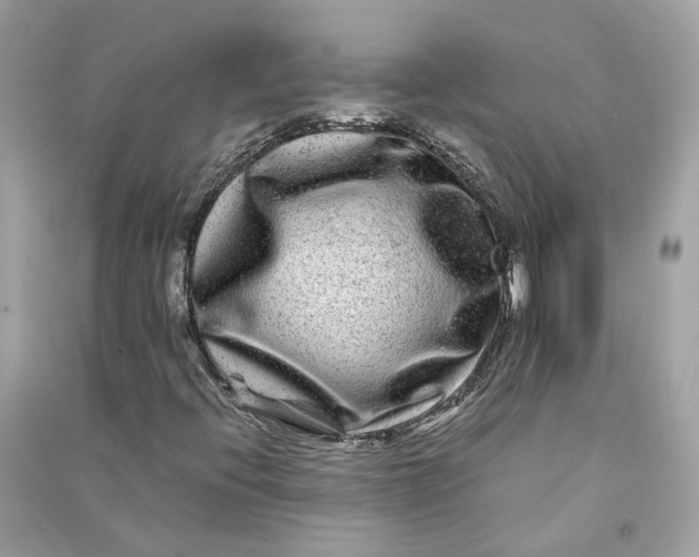 X0000090761396200708101736