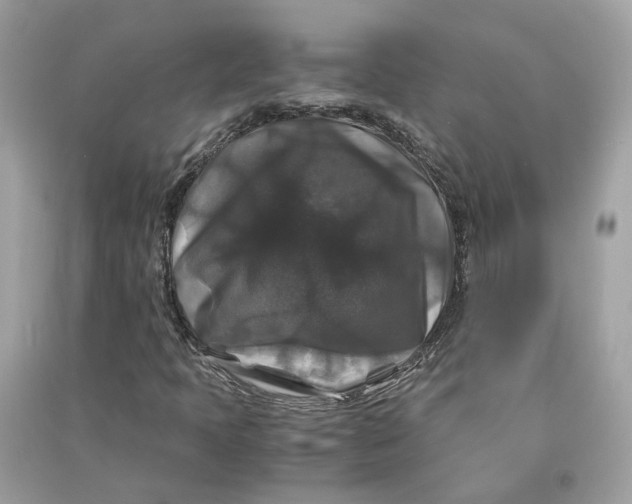 X0000090761397200708101736