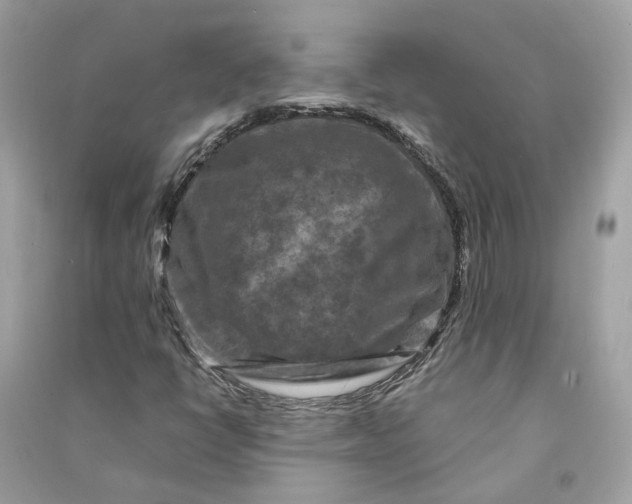 X0000090761398200708101737