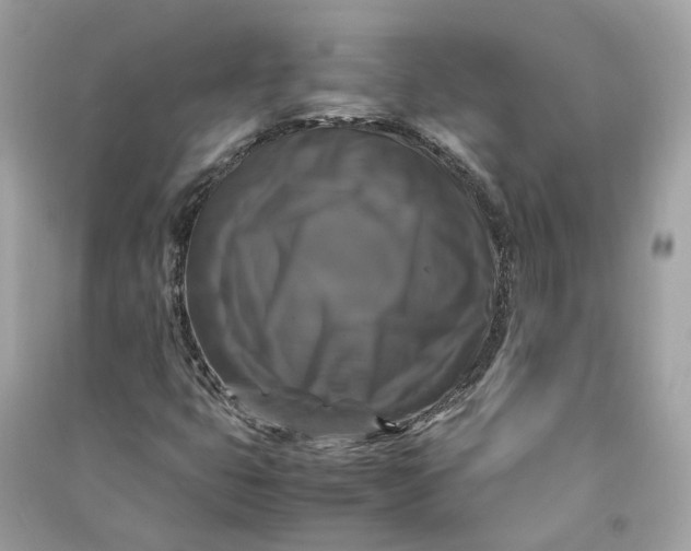 X0000090761399200708101737