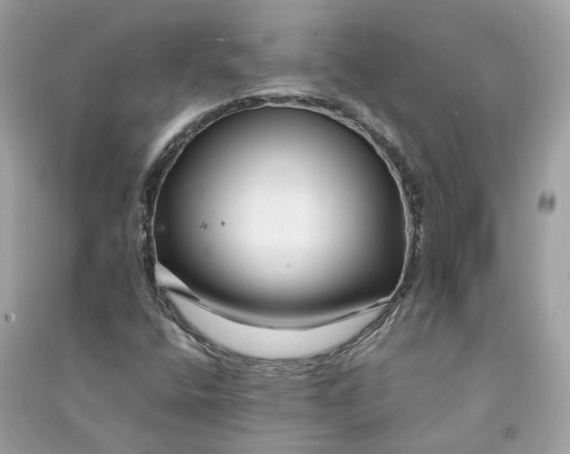 X0000090761400200708101737