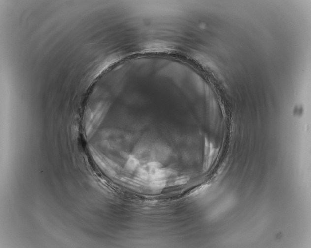 X0000090761401200708101737