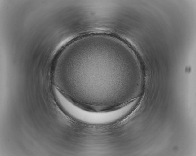 X0000090761402200708101737