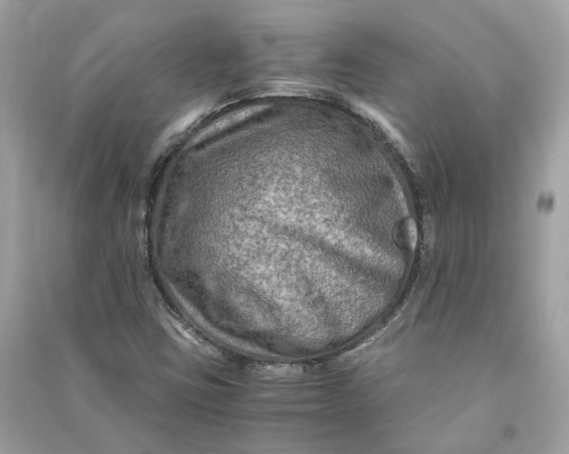 X0000090761403200708101737