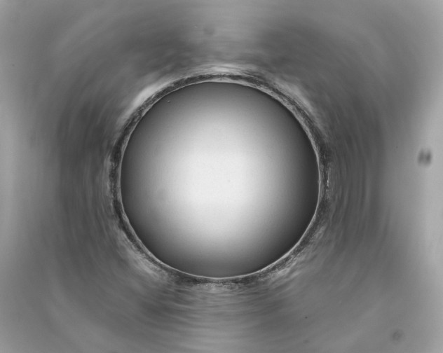 X0000090761404200708101737