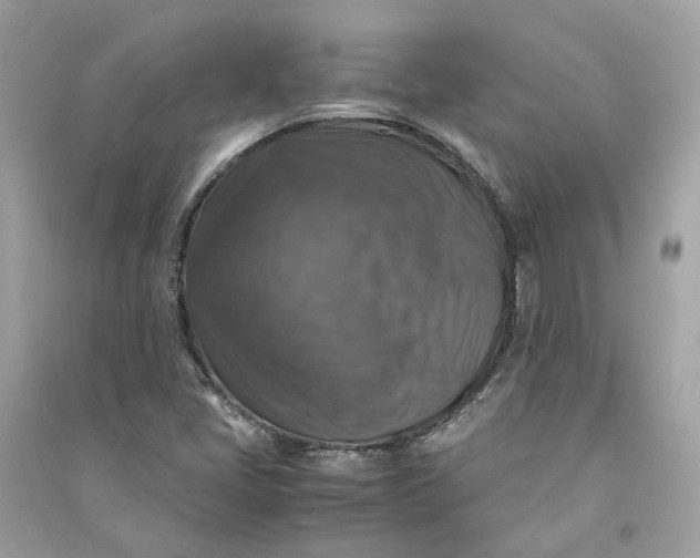 X0000090761405200708101737