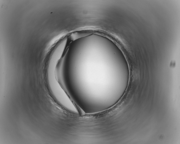 X0000090761406200708101737