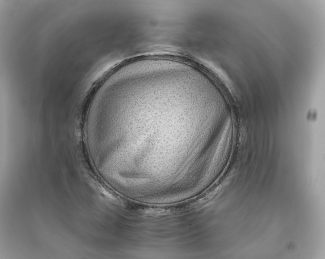 X0000090761407200708101737