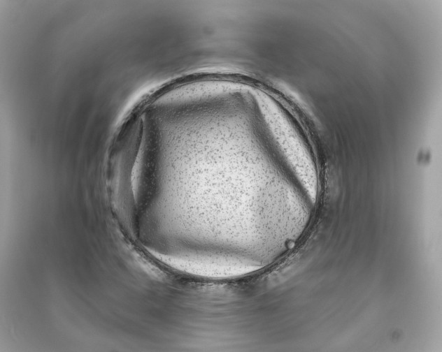 X0000090761408200708101737