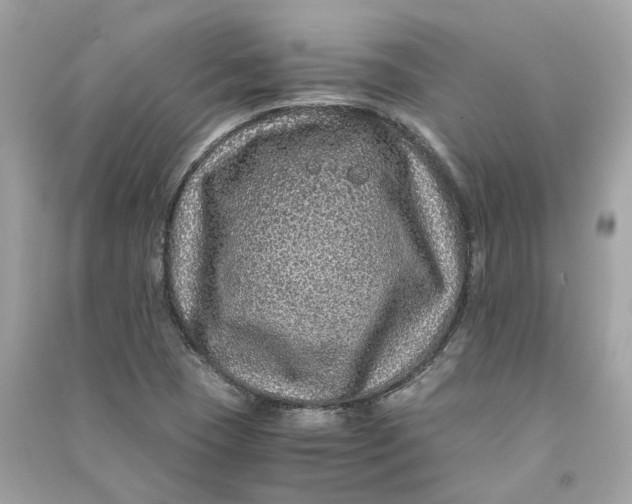 X0000090761409200708101737