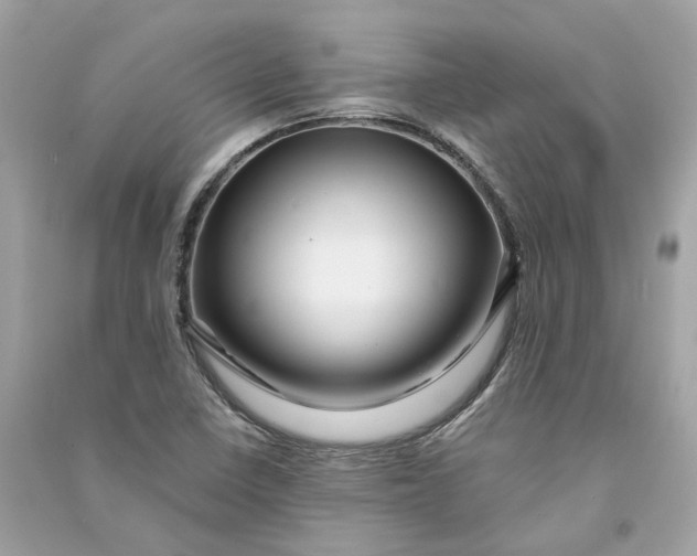 X0000090761410200708101737