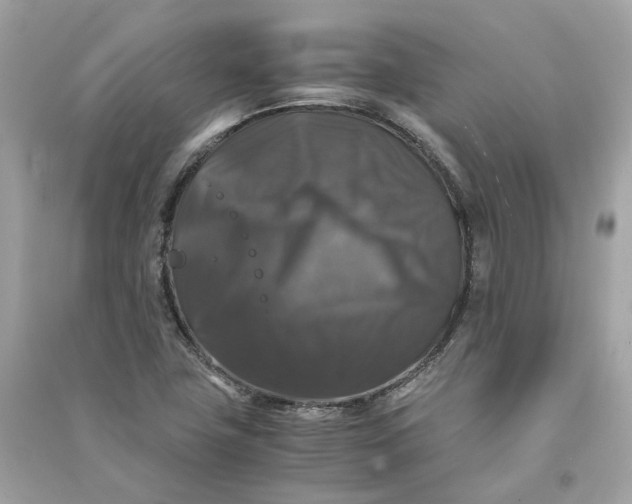 X0000090761411200708101737