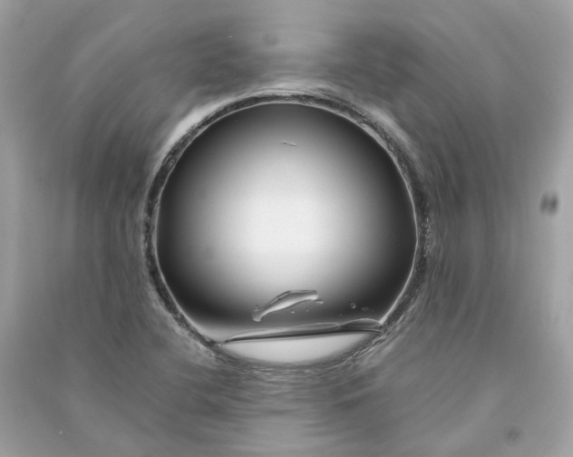 X0000090761412200708101737