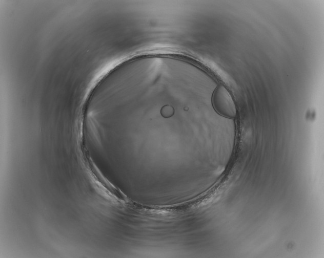 X0000090761413200708101737