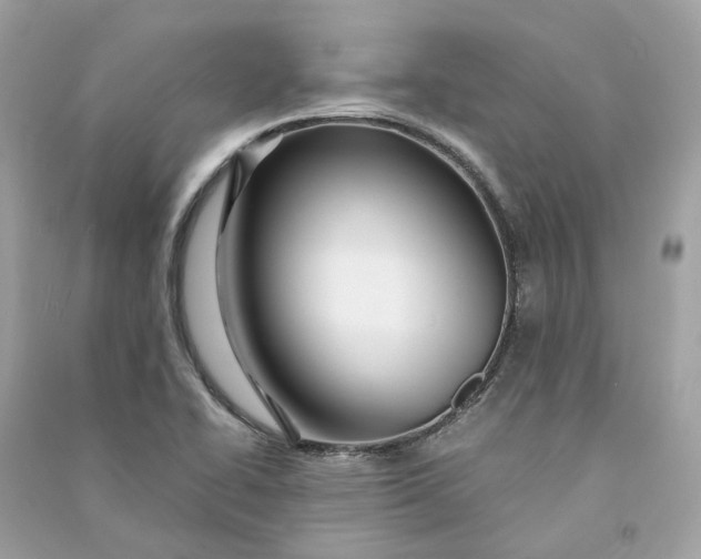 X0000090761414200708101737