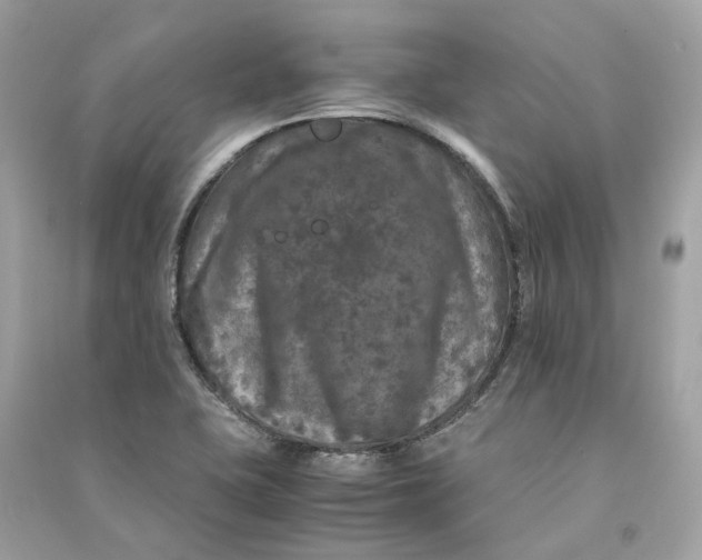 X0000090761415200708101737