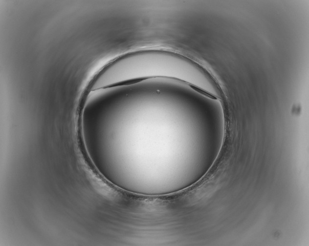 X0000090761416200708101737