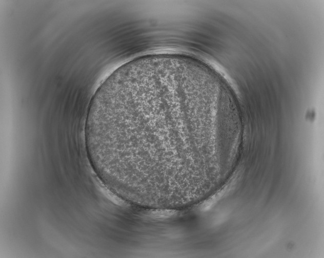 X0000090761417200708101737