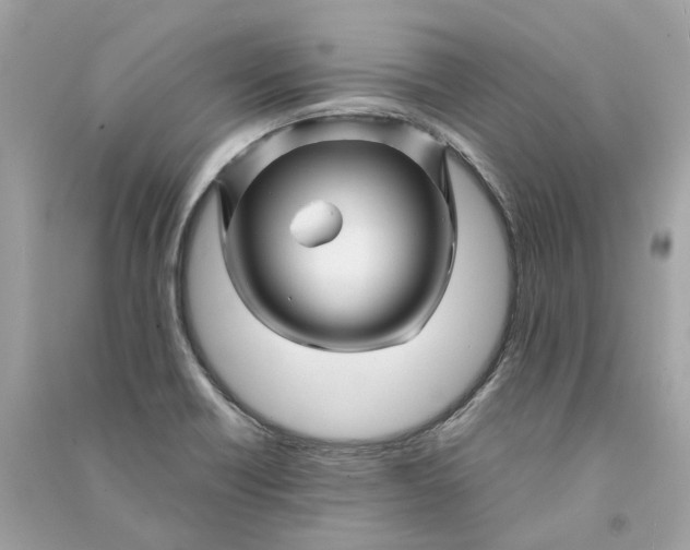 X0000090761418200708101737