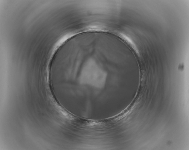 X0000090761419200708101737