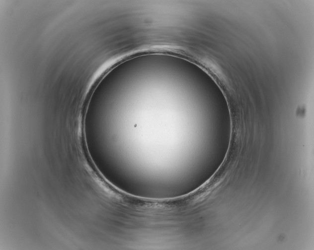 X0000090761420200708101737