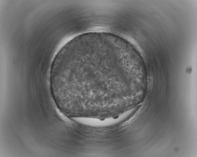 X0000090761421200708101737