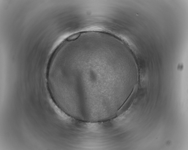 X0000090761422200708101737