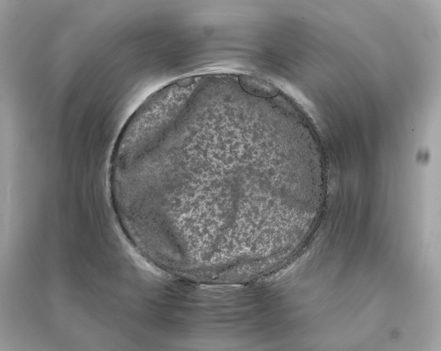 X0000090761423200708101737