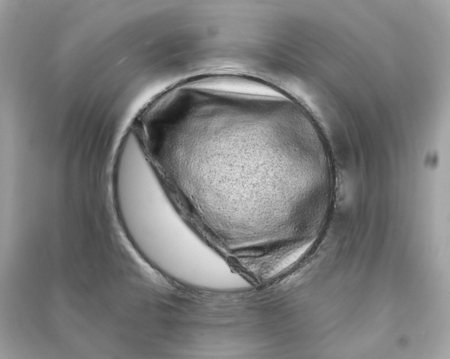 X0000090761424200708101737