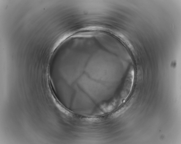 X0000090761425200708101737