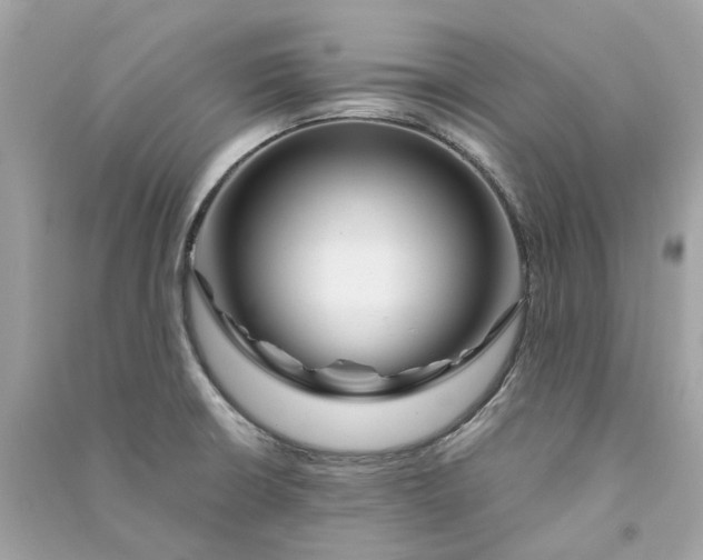 X0000090761426200708101737