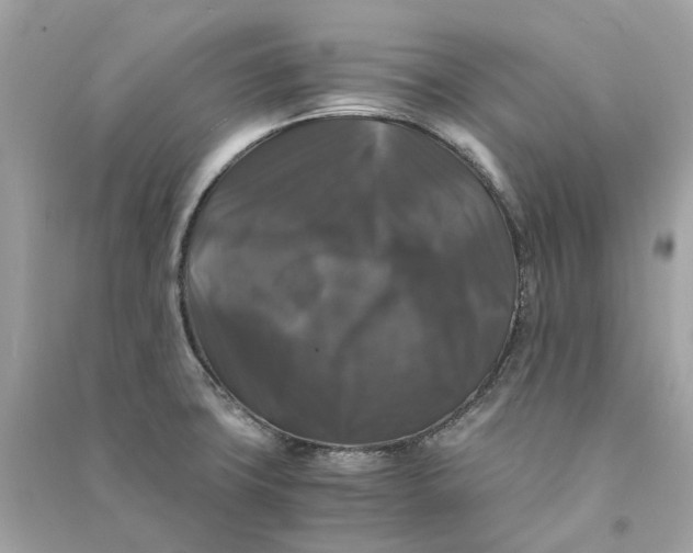 X0000090761427200708101737