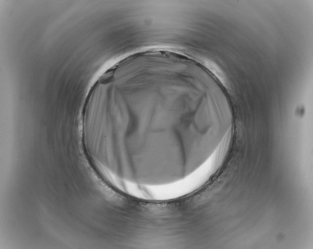 X0000090761428200708101737