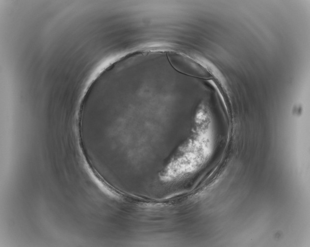 X0000090761429200708101737