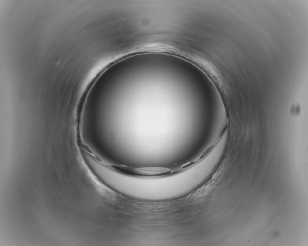 X0000090761430200708101737