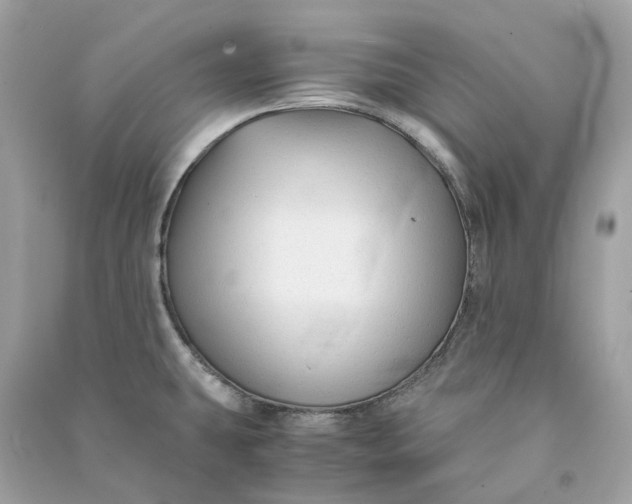 X0000090761431200708101737