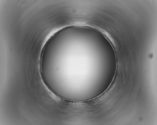 X0000090761432200708101737