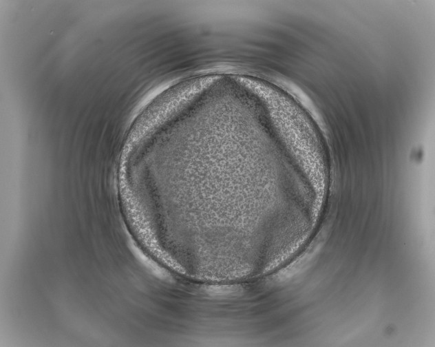 X0000090761433200708101737