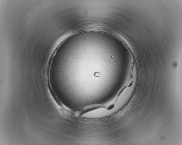 X0000090761434200708101737