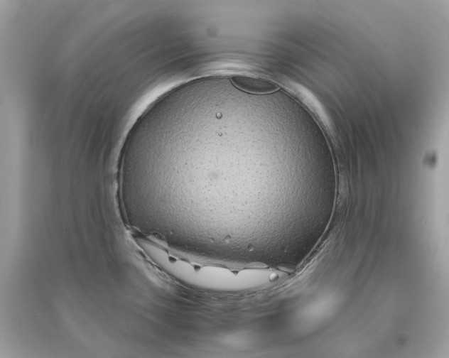 X0000090761435200708101737