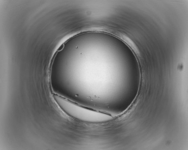 X0000090761436200708101737