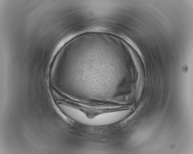 X0000090761437200708101737