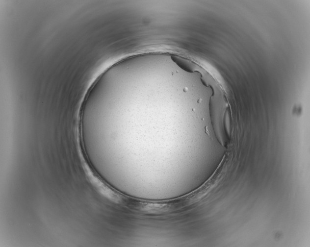 X0000090761439200708101737