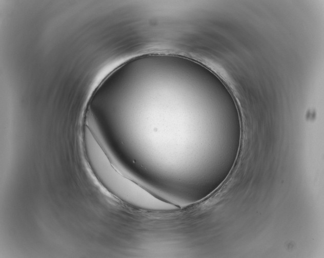 X0000090761440200708101737