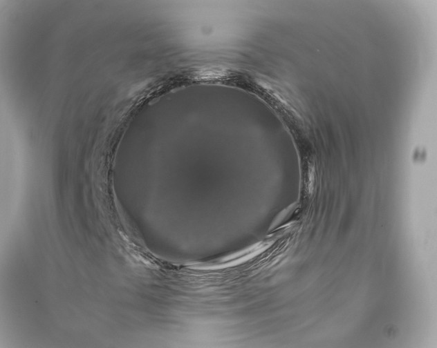 X0000090761441200708101736