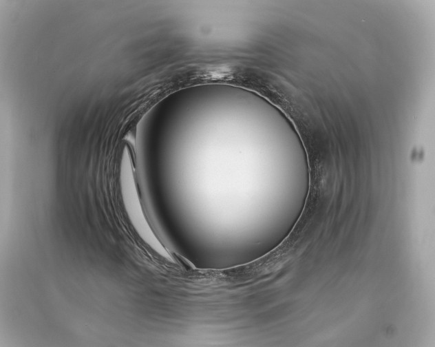 X0000090761442200708101736