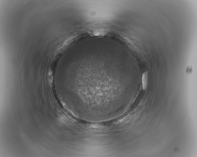 X0000090761443200708101736